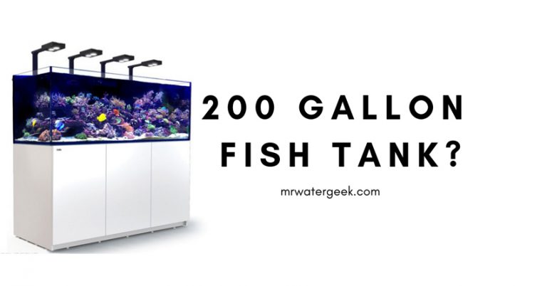 Do NOT Buy a 200 Gallon Fish Tank Until You Read This