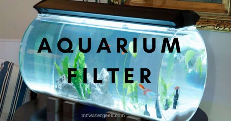 5 Best Aquarium Water Filters (Including The Good & BAD Features)