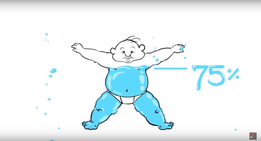 Babies-are-75-percent-water