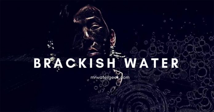 INFURIATING Brackish Water PROBLEMS + How to Treat It INFURIATING Brackish Water PROBLEMS + How to Treat It