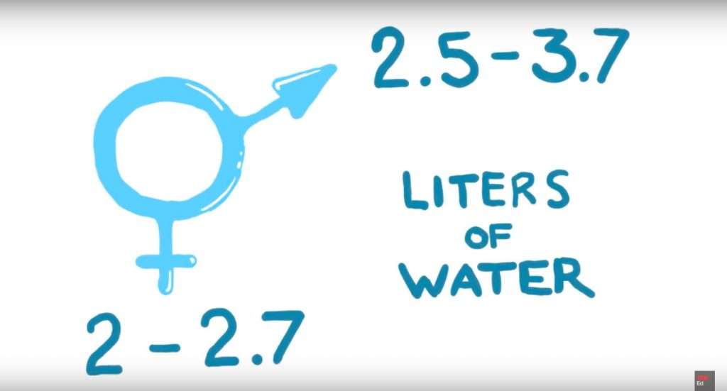 How-much-water-you-should-drink-male-female