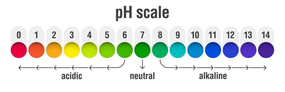 pH Scale