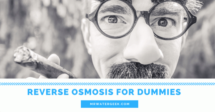 The Best Reverse Osmosis System Guide For DUMMIES The Best Reverse Osmosis System Guide For DUMMIES