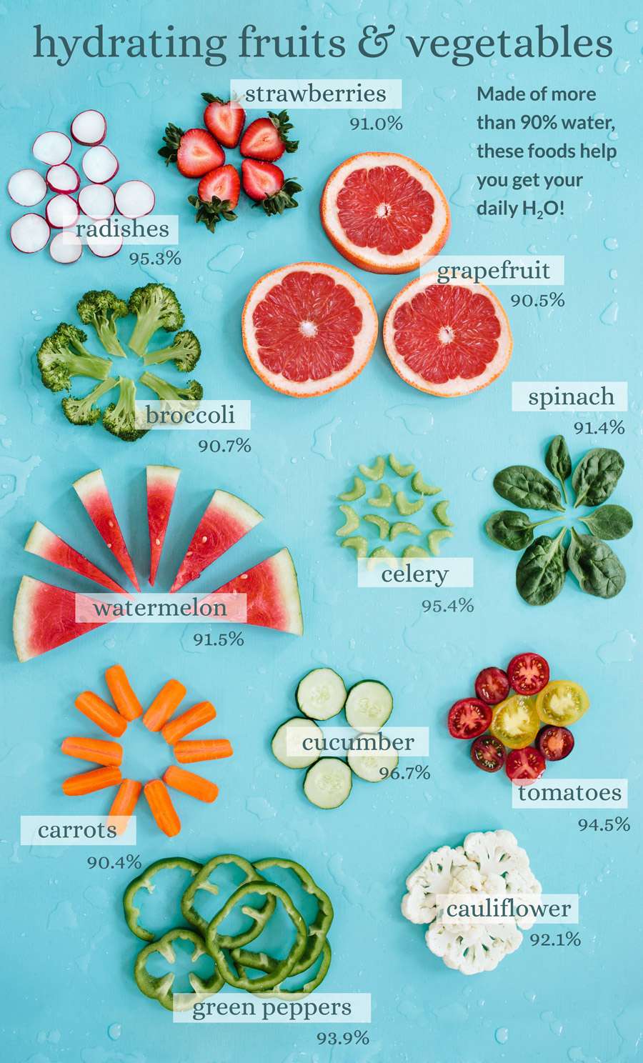 SERIOUSLY Water Rich Foods Percentages