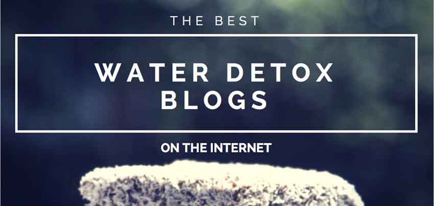 The Best Water Detox Blogs On The Internet The Best Water Detox Blogs On The Internet
